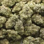 Diamond Runtz Craft - Hybrid - Image 3