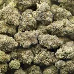 Ghost OG x Cherry Puff AAAA - Indica - Image 3