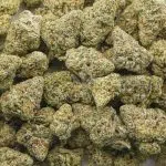 Wholesale - Glitter Titties - Craft