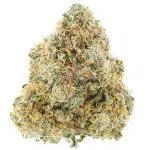 Mango Mimosa AAAA - Sativa