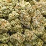 Mango Mimosa AAAA - Sativa - Image 3