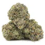 Master Skunk AAA - Hybrid - Image 2
