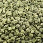 Wholesale Popcorn - Rockstar Kush - AAA