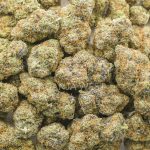 Slap N Tickle Craft - Indica - Image 3