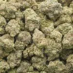 Sweet Kush AA - Hybrid - Image 3