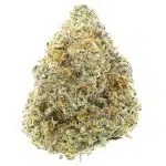 Zootiez AAA - Hybrid
