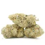 Zootiez AAA - Hybrid - Image 2