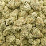 Zootiez AAA - Hybrid - Image 3