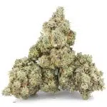 Wholesale - Banana Cream Cake - AA - Image 2