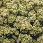 Wholesale - Banana Cream Cake - AA