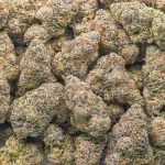 Blackberry Lemonade Craft - Indica - Image 3