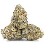 Blue Candy Gelato Craft - Hybrid - Image 2