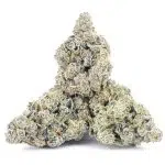 Wholesale - Cake Bomb - Craft - Image 2