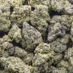 Wholesale - Cake Bomb - Craft