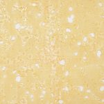 Shatter - Super Sonic - Sativa - Image 2