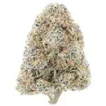 Cookies Gary Payton Craft - Hybrid