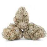 Cookies Gary Payton Craft - Hybrid - Image 2