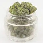 Gas Crack AAA Popcorn - Indica