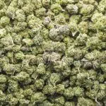 Gas Crack AAA Popcorn - Indica - Image 2