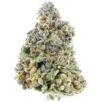 Wholesale - Gelatti Kush Mintz - Craft - Image 3