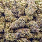 Gelatti Kush Mintz Craft - Hybrid - Image 3