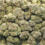 Ice Cream Sundae Craft - Indica - Image 3