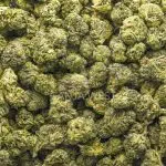 Jungle Breath AAA Popcorn - Indica - Image 2