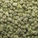 Wholesale Popcorn - LA Kush Burger - AAAA