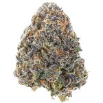Nightmare OG AAA - Indica