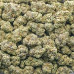 Peanut Butter Cookies AAA - Indica - Image 3