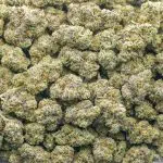 Peanut Butter Cookies AAA - Indica - Image 3