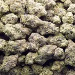 Wholesale - Pineapple Hindu Zkittlez - AAAA