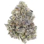 Razzberry Gas Tank Craft - Indica