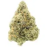 Venom OG AAAA - Hybrid