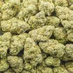 Venom OG AAAA - Hybrid - Image 3