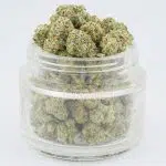 Alien Surfer Cookies AAAA Popcorn - Hybrid