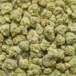 Alien Surfer Cookies AAAA Popcorn - Hybrid - Image 2