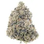 Black Domina 98 AAAA - Indica