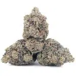 Black Domina 98 AAAA - Indica - Image 2
