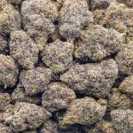 Black Domina 98 AAAA - Indica - Image 3