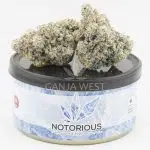 Notorious THC Craft - Raspberry Skywalker (7 Grams)