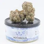 Notorious THC Craft - King Kong Glue (7 Grams)
