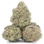 Tuna Kush AAAA - Indica - Image 2