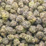 BC Blueberry Craft Popcorn - Indica - Image 2