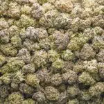 Bobby Wild AAAA Popcorn - Indica - Image 2