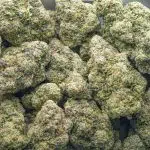 Chapos Churro AAAA - Indica - Image 3