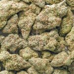 Wholesale - Frosted Donut - AAA