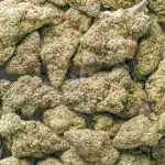 Wholesale - Frosted Donut - AAA