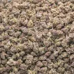 Huckleberry AAA Popcorn - Hybrid - Image 2