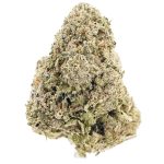 Jungle Fire AAA - Hybrid